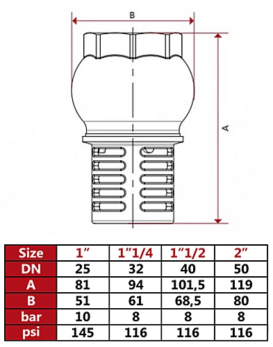 Itap 1 1/2 Inch Check Foot Valve Female Suction Non Return Valve For Pumps Brass 4 Itap 1 1/2 Inch Check Foot Valve Female Suction Non Return Valve For Pumps Brass - Image 2